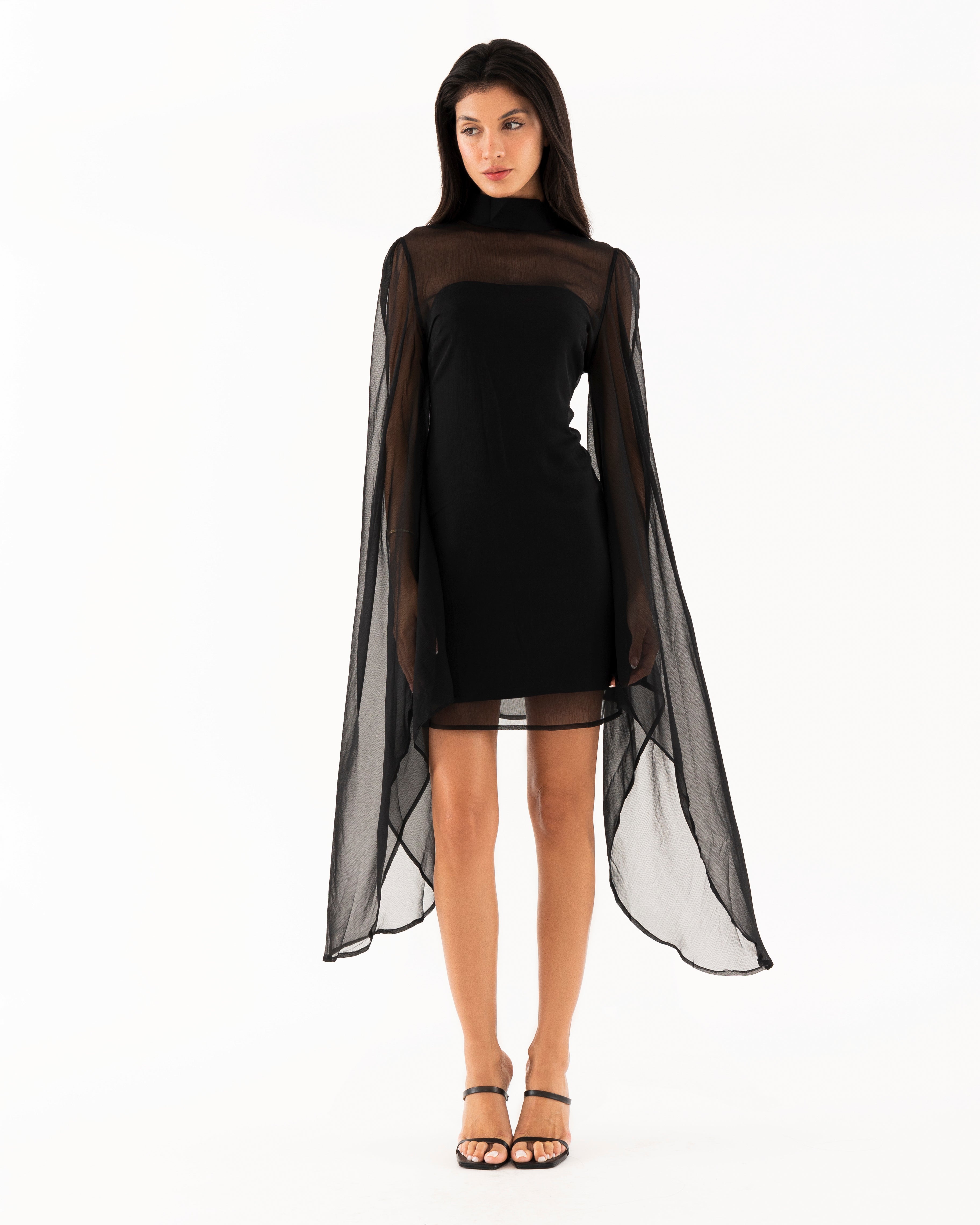 Black Swan Dress - 2piece