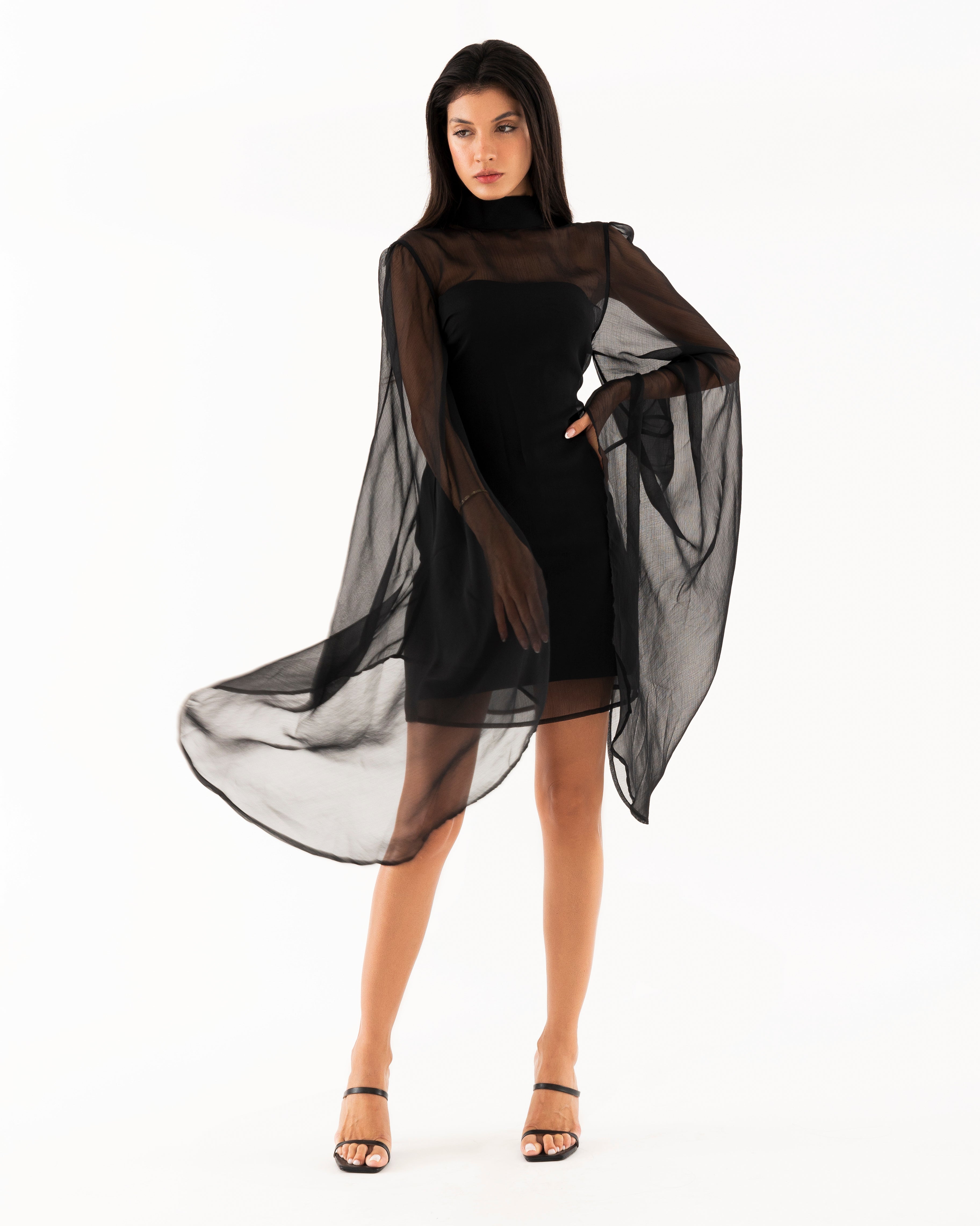 Black Swan Dress - 2piece